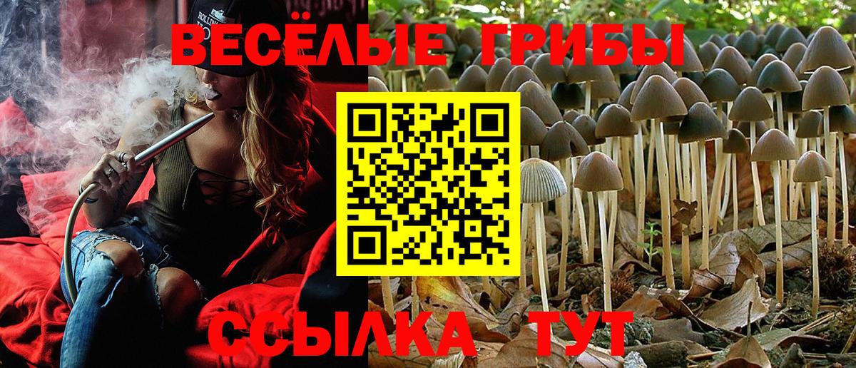 Псилоцибиновые грибы мицелий Кумертау