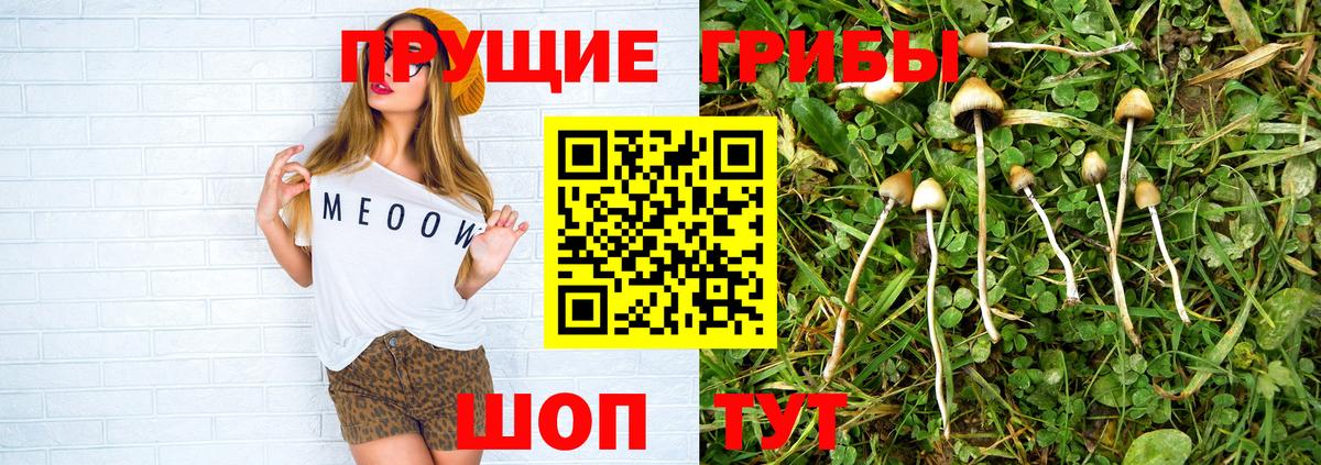 хочу   Вход с VPN  Кумертау  Псилоцибиновые грибы Psilocybine cubensis 